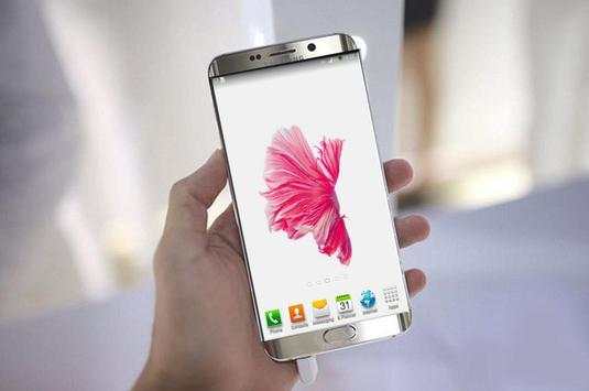 Betta Fish 6S Live Wallpaper स्क्रीनशॉट 1