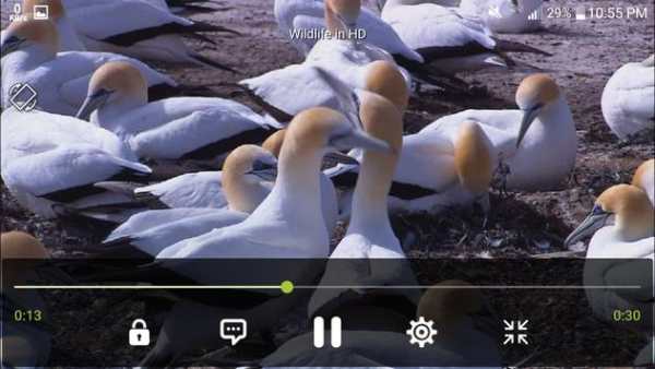 DVD Player screenshot 1