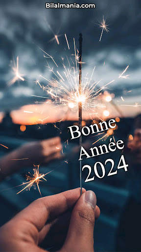 Bonne Année 2024 screenshot 21