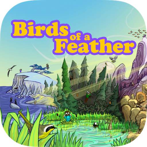 Birds of a Feather Scorekeeper 11.0.1
