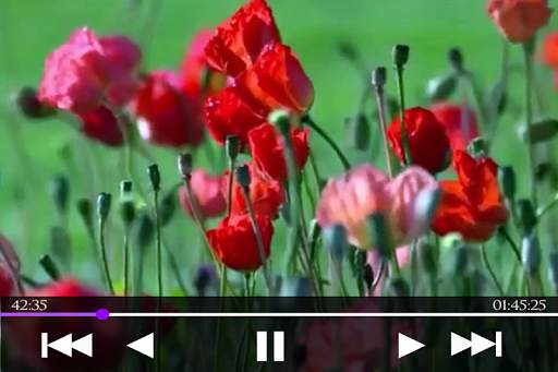 Video Player screenshot 3