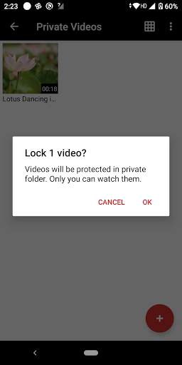 VidTube screenshot 4