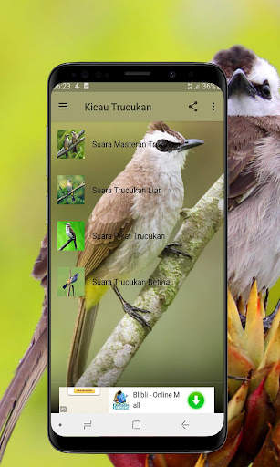 Kicau Burung Trucukan Offline screenshot 1