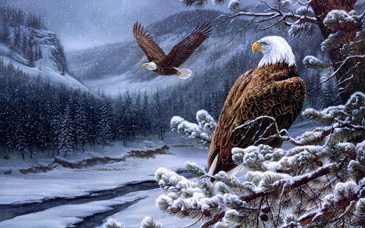 🦅 Eagle Wallpapers – Bird Wallpaper screenshot 7