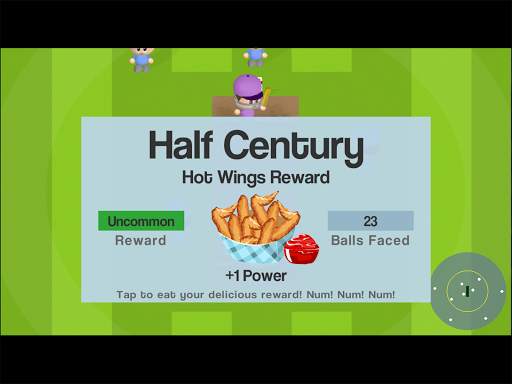 Smashtastic Cricket screenshot 13