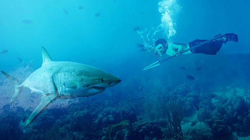 Angry Whale Shark Hunter - Raft Survival Mission screenshot 12