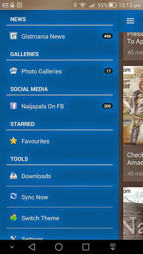 Nigeria News Naijapals screenshot 5