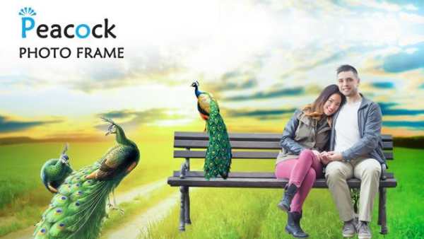 Peacock Photo Frame screenshot 4