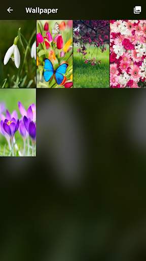 Spring Flowers Pattern Lock Screen 7 تصوير الشاشة