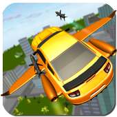 Flying Car
