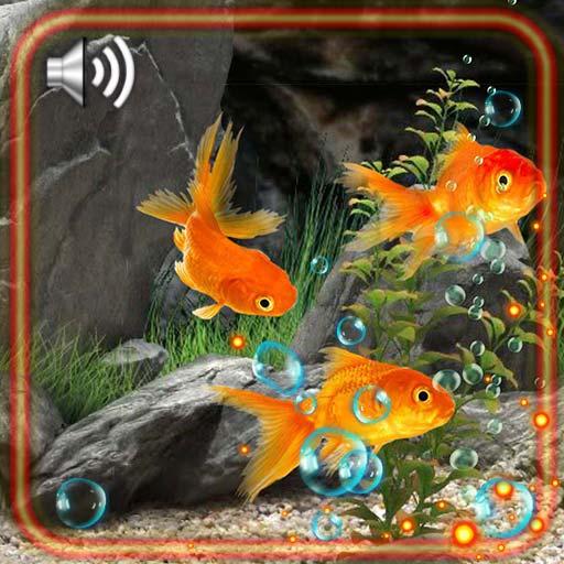 Gold Fishes HD Live Wallpaper icon