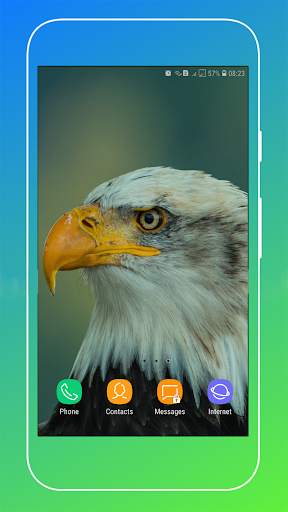 HD Eagle Wallpaper screenshot 3