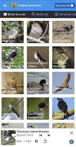 American Birds Sounds Pro screenshot 2