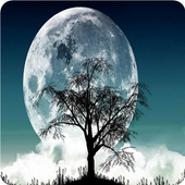 Fair Moonlight أيقونة