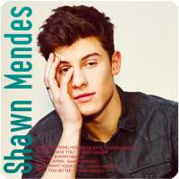 Shawn Mendes - Free offline albums logo