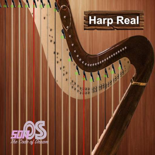 Harp Real 1.3