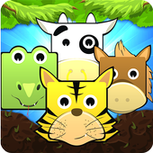 Pet Pop Mania icon