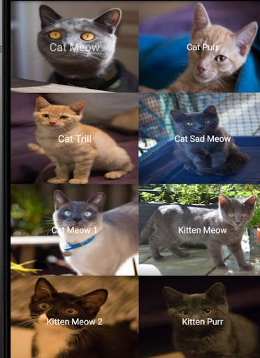 Amazing Cat Sounds - Cat simulator screenshot 1