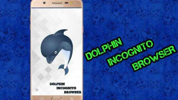 Dolphin Incognito Browser screenshot 2