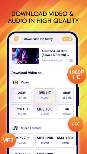 Mp4 Video Downloader & Player screenshot 3