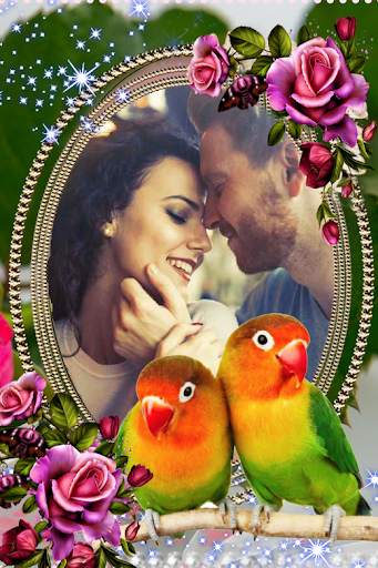 Bird Photo Frame screenshot 4