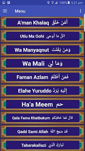 Quran Pak MP3 screenshot 5