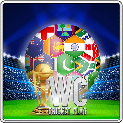 WCC Cricket Battle Real Champion 1.0.1