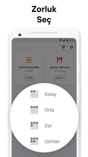 Kazık sudoku - sayı bulmacası screenshot 5