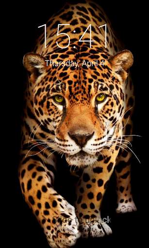 Jaguar Lock Screen Jaguar Passcode Keypad screenshot 3