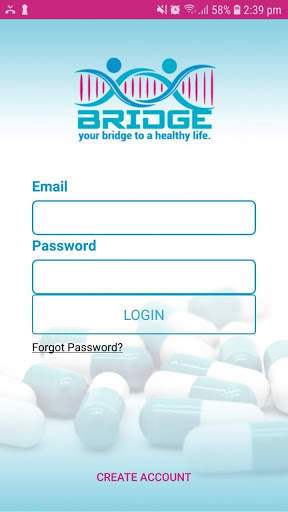 Bridge screenshot 1
