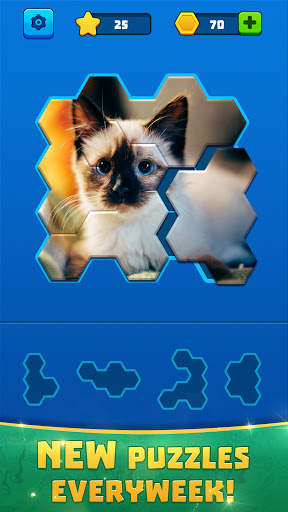Hex Block Jigsaw screenshot 1