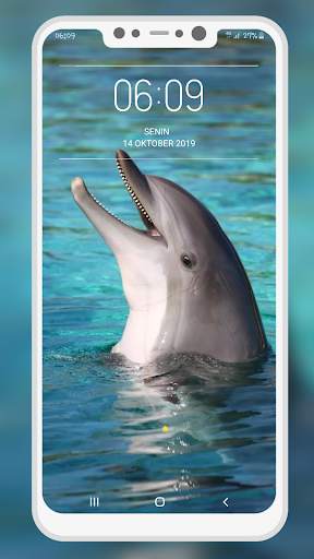 Dolphin Wallpaper screenshot 7
