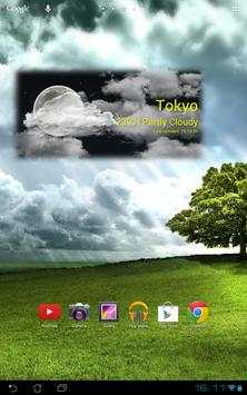 Simple Weather Widget screenshot 12