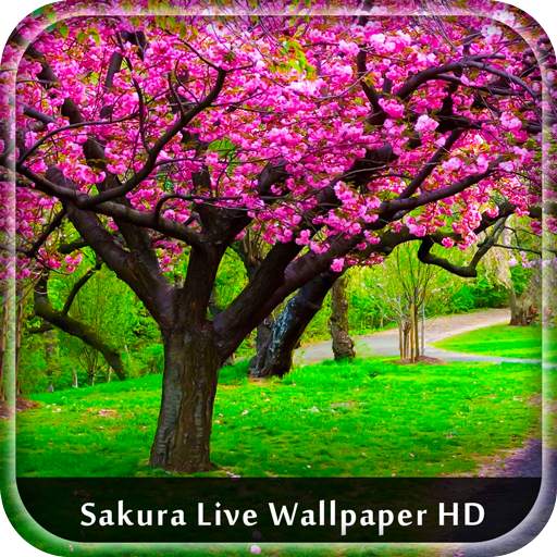 Sakura Live Wallpaper HD 1.3
