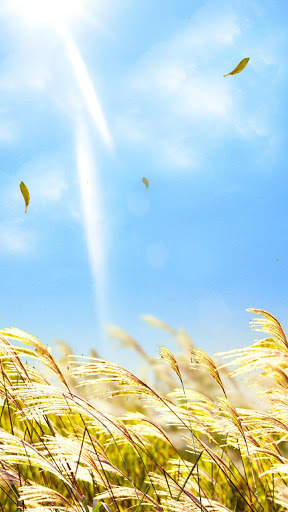 Natural Reed Live Wallpaper screenshot 1