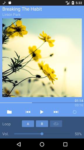 LRC Lyrics Player screenshot 1