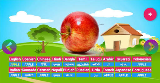 Learning Animals Fruits Vegetables Birds Meaning screenshot 7