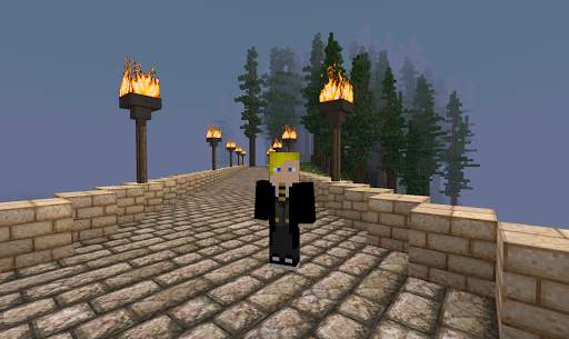Harry Potter Skins for Minecraft PE screenshot 1