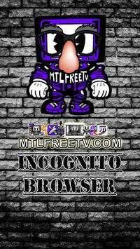 Incognito Browser screenshot 1