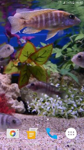 Aquarium 4K Live Wallpaper screenshot 7