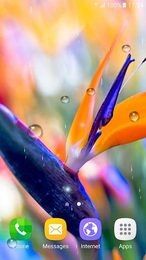 Tropical Flower Live Wallpaper screenshot 5