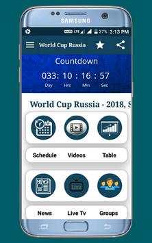 FIFA World Cup 2018 screenshot 2