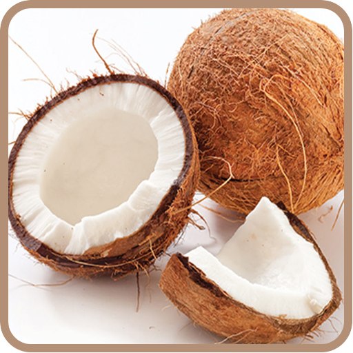 Coconut Recipes: Coconut milk, Coconut cake icon