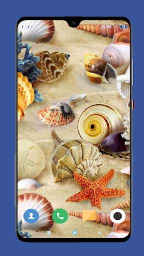 Seashell Wallpaper HD screenshot 15
