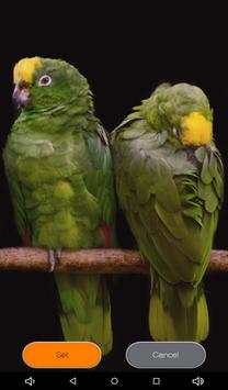 Birds Zipper Lock Screen screenshot 24
