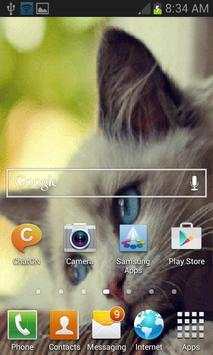 Cute Sad Cat LWP screenshot 3
