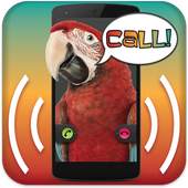 Parrot Announcer - Call Talker 2.1