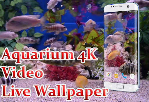 Aquarium 4K Live Wallpaper screenshot 1