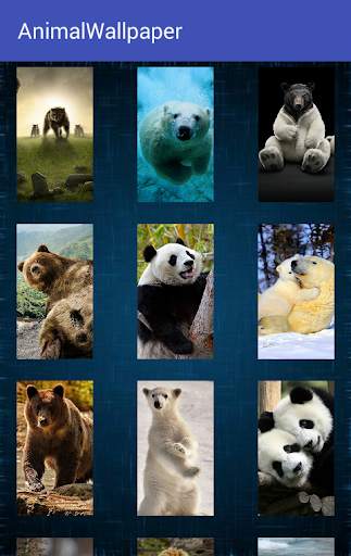 Animal Wallpaper screenshot 4