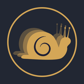 Slow Motion Video Converter icon